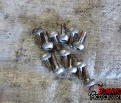 07-08 Honda CBR 600RR Front Rotor Bolts