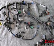 09-11 Suzuki GSXR 1000 Wire Harness