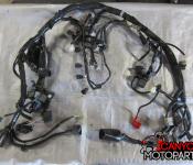 19-22 Kawasaki ZX6R Wiring Harness