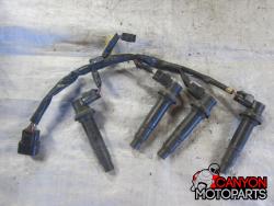 07-08 Yamaha R1 Coils and Harness