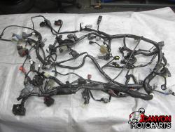 21-25 Kawasaki ZX10R Wire Harness