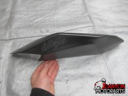 21-25 Kawasaki ZX10R Fairing - Tail Right