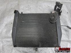 02-03 Yamaha R1 Radiator 