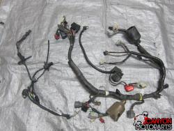 01-06 Honda CBR F4i Main Wire Harness