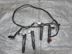 02-03 Honda CBR 954RR Engine Coil Caps and Harness