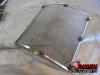 16-20 Kawasaki ZX10R Radiator Guard - COX