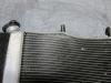 08-10 KAWASAKI ZX10R Radiator 