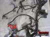 15-19 Yamaha YZF R1 Wire Harness - Main 2CR-82590-10