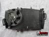 02-03 Honda CBR 954RR Radiator 