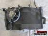 05-06 Honda CBR 600RR Radiator 