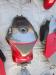 99-07 Suzuki GSXR 1300 Hayabusa Fairing  Kit OEM