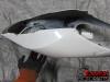 05-06 Honda CBR 600RR Fairing - Tail 