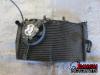 05-06 Honda CBR 600RR Radiator 