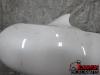 08-14 Yamaha YZF R6 Fairing - Front Fender 